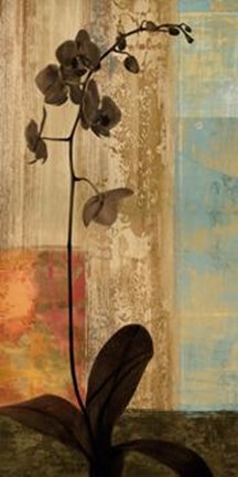 Framed Numinous I Print