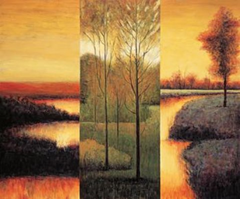 Framed Vistas II Print