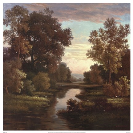 Framed Tranquility I Print