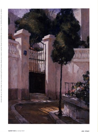 Framed Spanish Gate Print