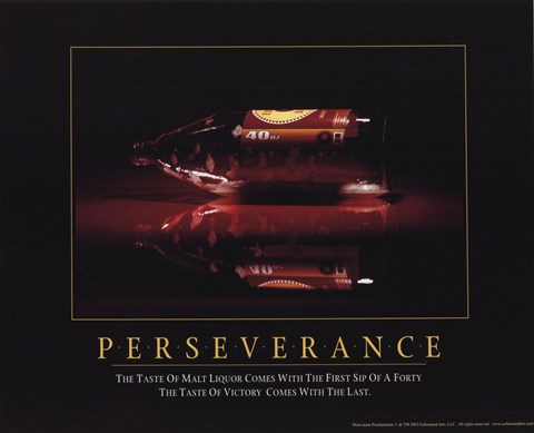 Framed Perseverance - 40 Oz Print