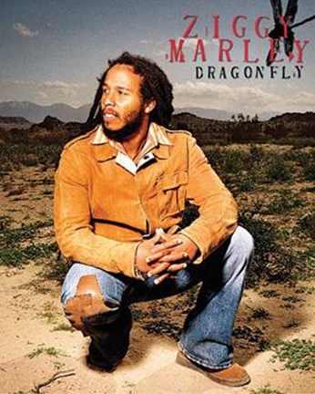 Framed Ziggy Marley - Dragonfly Print