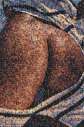 Framed Ass of Asses Print