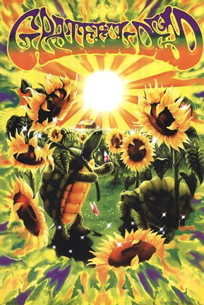 Framed Grateful Dead - Terrapin Sunflower Print