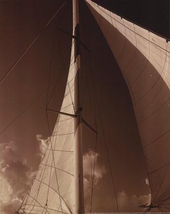 Framed Windward Sail IV Print