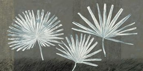 Framed Three Palmettos Print