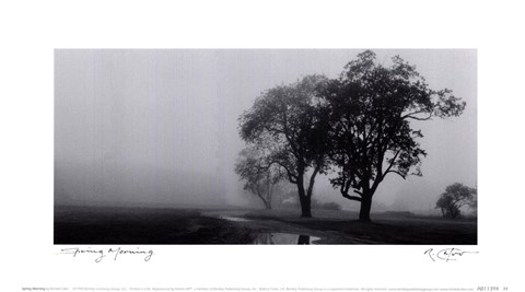 Framed Spring Morning Print