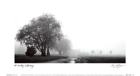 Framed Early Morning Print