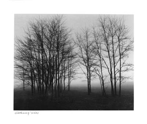 Framed Gathering Trees Print