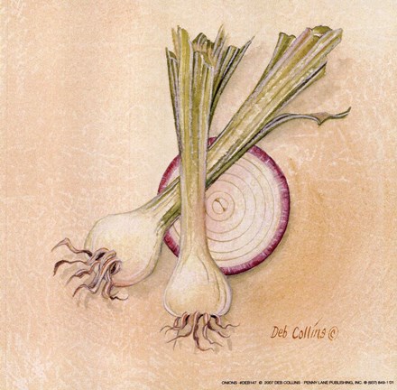 Framed Onions Print