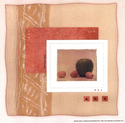 Framed Nature's Candy III Print