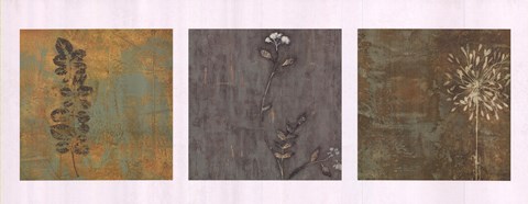 Framed Nature Path Print