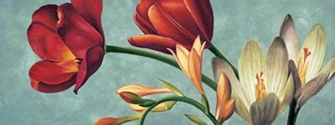 Framed Luce E Colore I Print