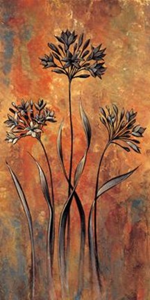 Framed Dreamscape II Print