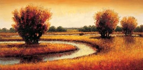 Framed Golden Reflections II Print