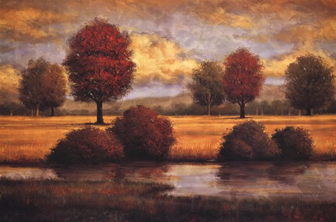 Framed Serene II Print