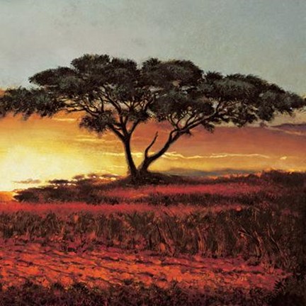 Framed Red Plains Print