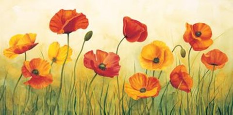 Framed Prato Di Papaveri Print