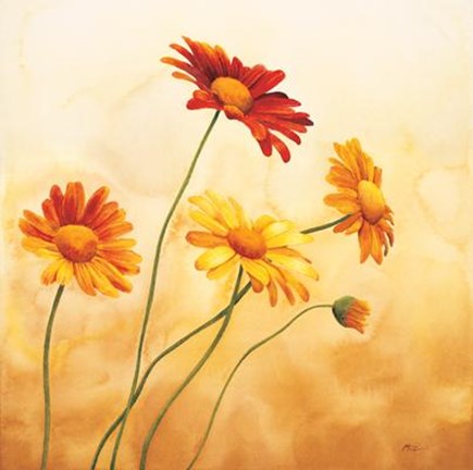 Framed Brezza Sulle Margherite Print