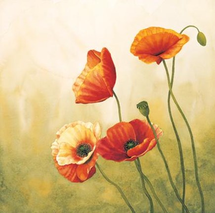Framed Brezza Sui Papaveri Print