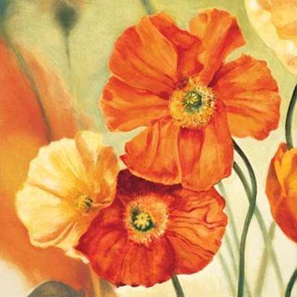 Framed Champs De Coquelicots I Print