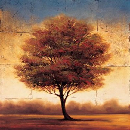 Framed Splendor II Print