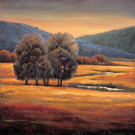 Framed In All Its Glory I Print