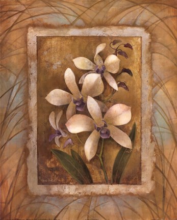 Framed Illuminated Orchid I Print