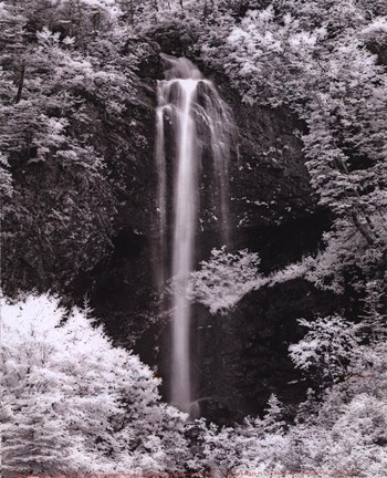 Framed Nature's Jewel I Print