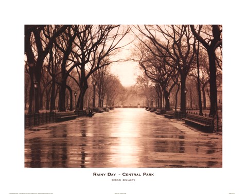 Framed Rainy Day - Central Park Print