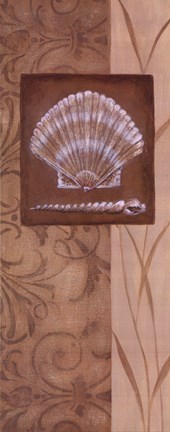 Framed Sand Shell II Print