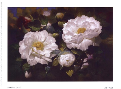 Framed Full Blossom I Print