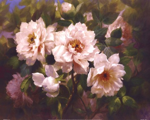 Framed Full Blossom II Print