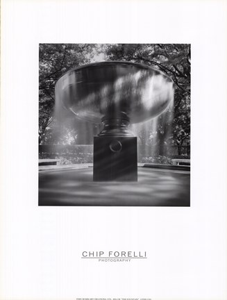 Framed Fountain Print