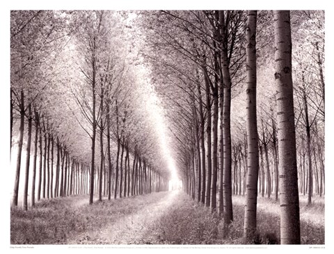 Framed Tree Parade Print