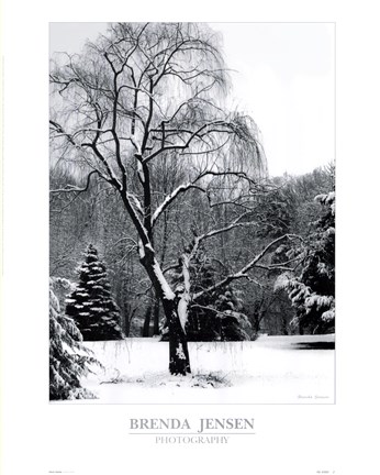 Framed Storm's Passing Print