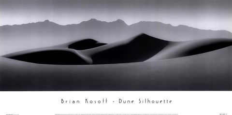 Framed Dune Silhouette Print