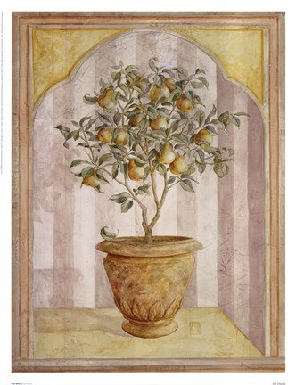 Framed Pear Niche Print