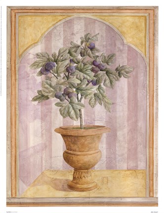 Framed Fig Niche Print