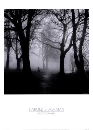 Framed Wooded Bench Print