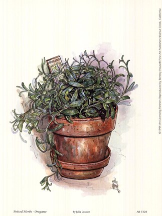 Framed Potted Herbs-Oregano Print