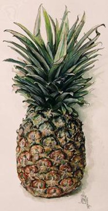 Framed Pineapple Print