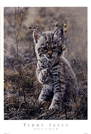 Framed Peek A Boo Print