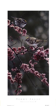 Framed Blossom Dance Print
