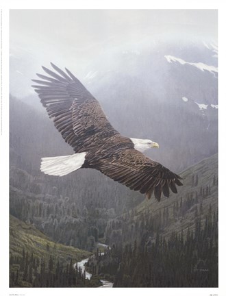 Framed Into The Mist Print