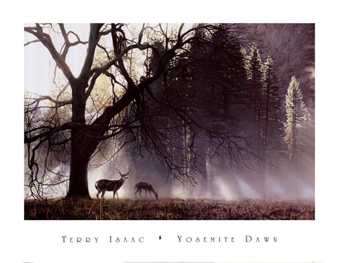 Framed Yosemite Dawn Print