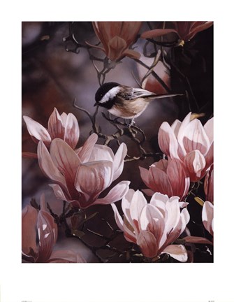 Framed In The Pink Print