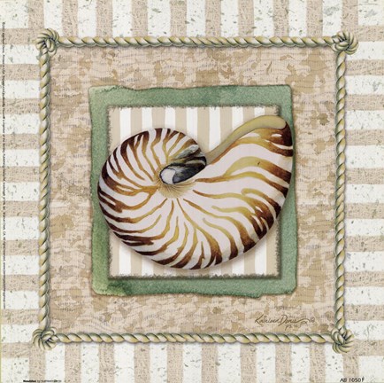 Framed Nautilus Print