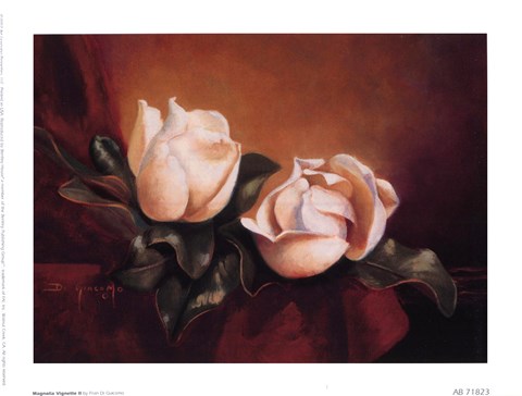 Framed Magnolia Vignette ll Print