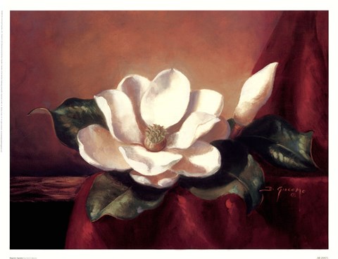 Framed Magnolia Vignette l Print